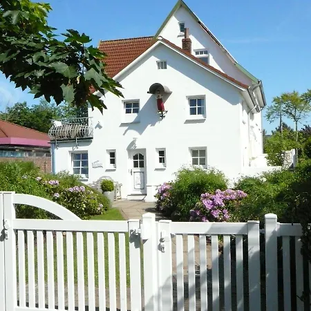 Silbermoewe