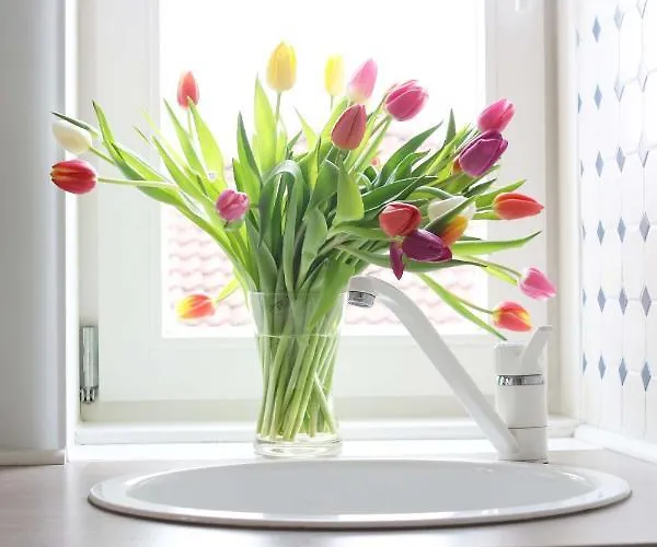 Silbermöwe Lägenhet